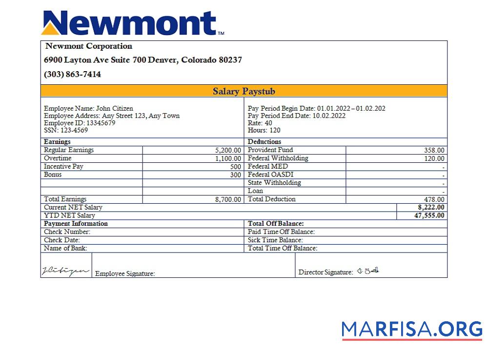 Printable USA Newmont Corporation mining company pay stub download for verification